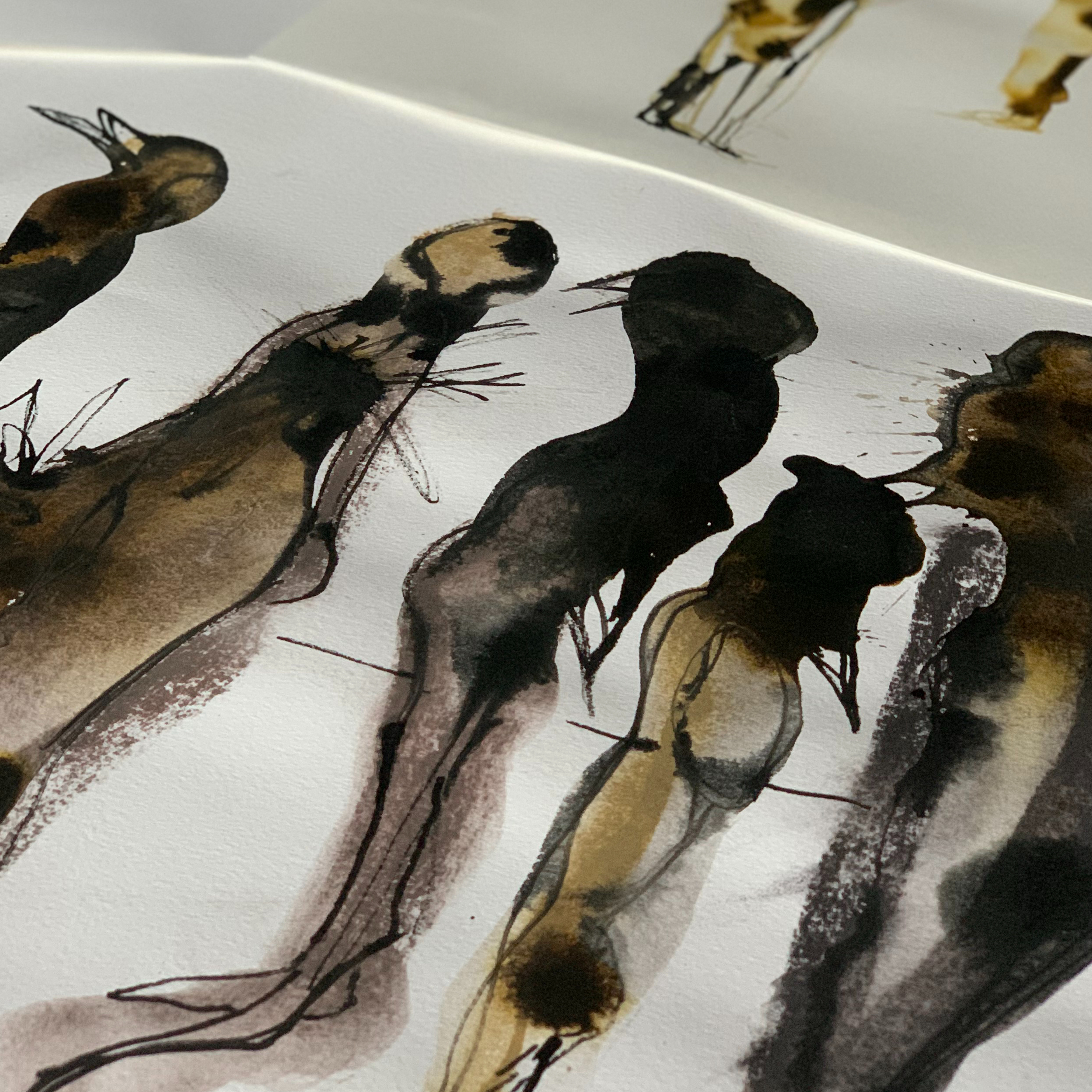 ODDBIRDS